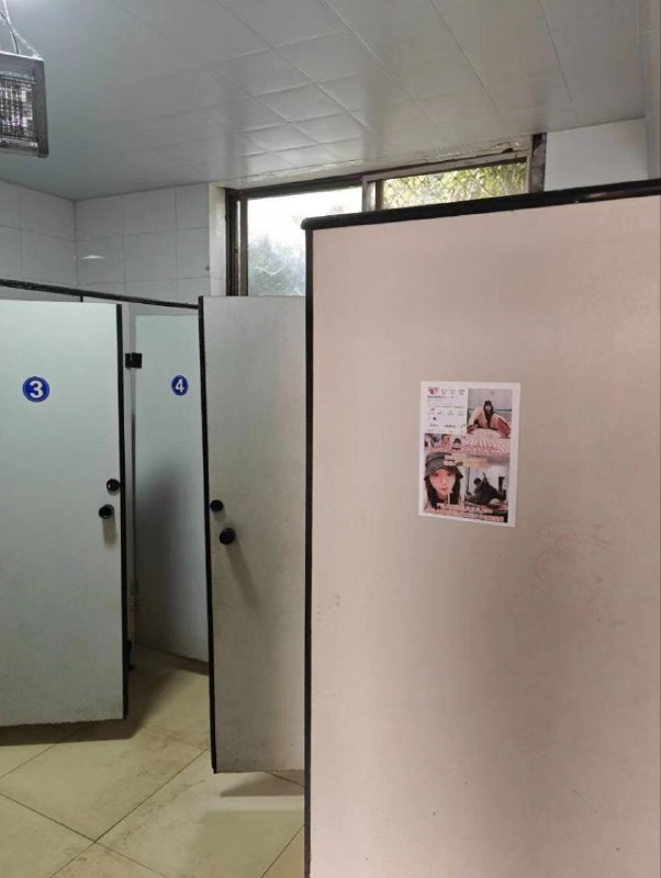 潍坊 郑丹丹的丹  玩的挺花的  #聊天记录 #举报 是不是 炒作 ？潍坊 郑丹丹的丹  玩的挺花的  #聊天记录 #举报 是不是 炒作 ？