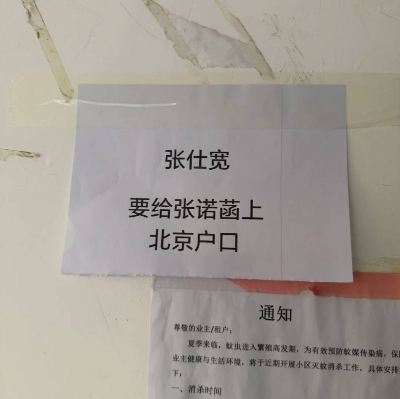 北京的张仕宽，快给你闺女上户口，你已经火到海外了
