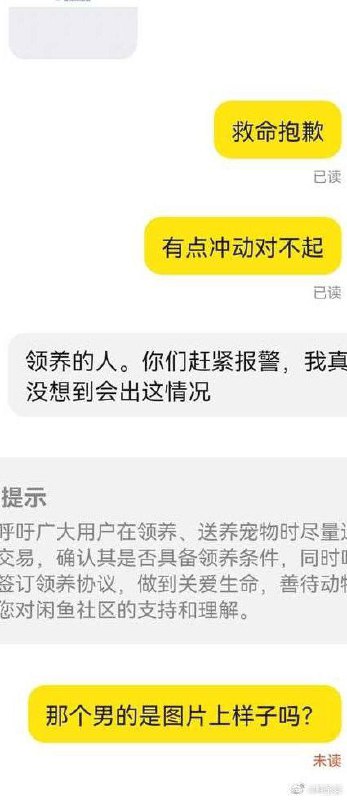 泉州 男子 #虐猫泉州 男子 #虐猫