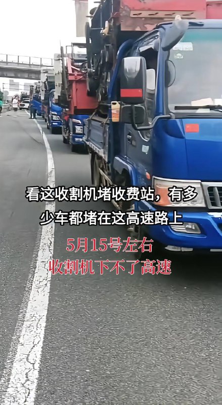 小麦收割机扣押在高速收费站，河南南阳、河南各地高速每天几百台收割机因超宽超高无法下高速，查超宽、超高，查收割机各种作业证