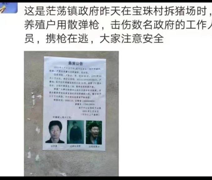 福建南平茫荡镇 #农管 拆猪场，被村民枪杀数名农管，目前携枪逃跑 #献忠 #枪击