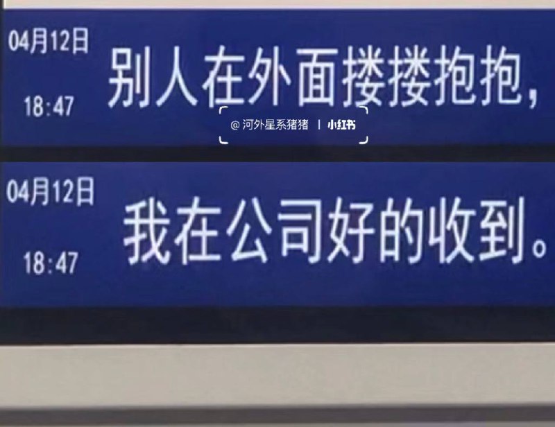 #厦门 地铁🚇的树洞#厦门 地铁🚇的树洞
