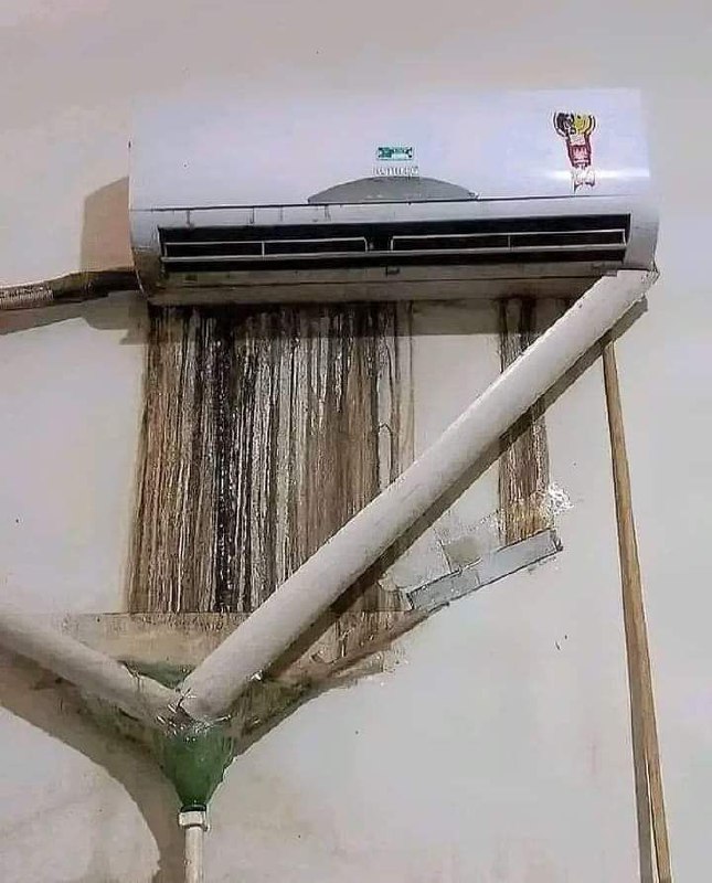 #艺术品 🧐