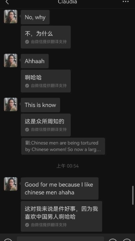 一名欧洲白人女子和一名中国男子网络聊天