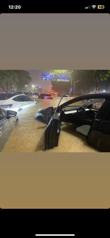 #深圳 #香港#深圳 #香港