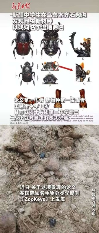 少爷 爱学习 少爷 “新发明” 愣着干啥？点赞啊 👍感谢家人们投稿！少爷 爱学习 少爷 “新发明” 愣着干啥？点赞啊 👍感谢家人们投稿！