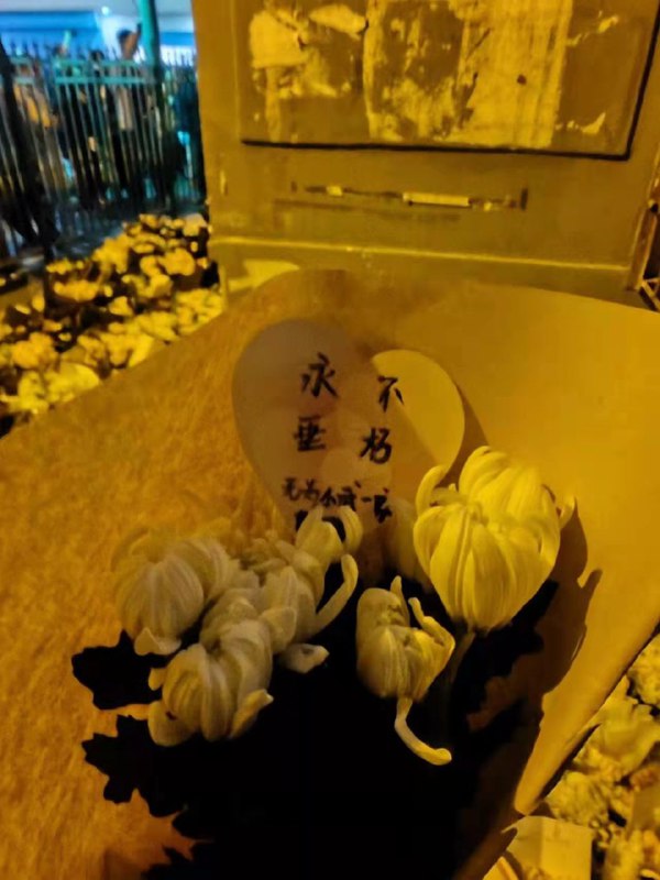 合肥红星路80号🙏🙏🙏#合肥 #李克强合肥红星路80号🙏🙏🙏#合肥 #李克强