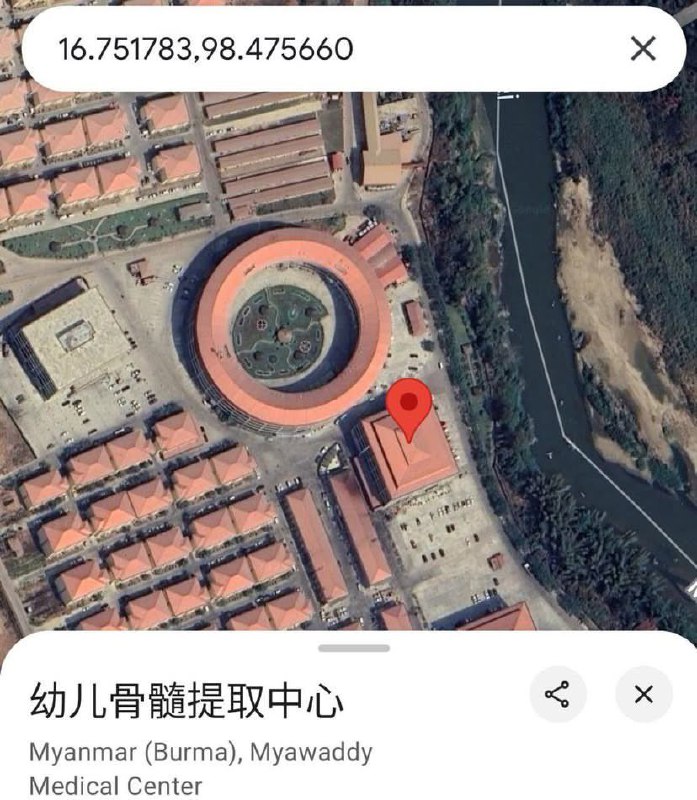 “成功人士的周末是留给身体保健的”我想知道胚胎干细胞怎么提取的?还有为什么柬埔寨生命科学院用简体字?说起来，前段时间有个失业的内地人为了养家糊口，去应聘海员，结果被拐到柬埔寨园区了