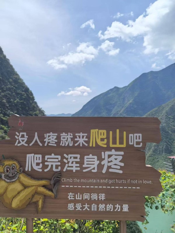 感谢家人们投稿！