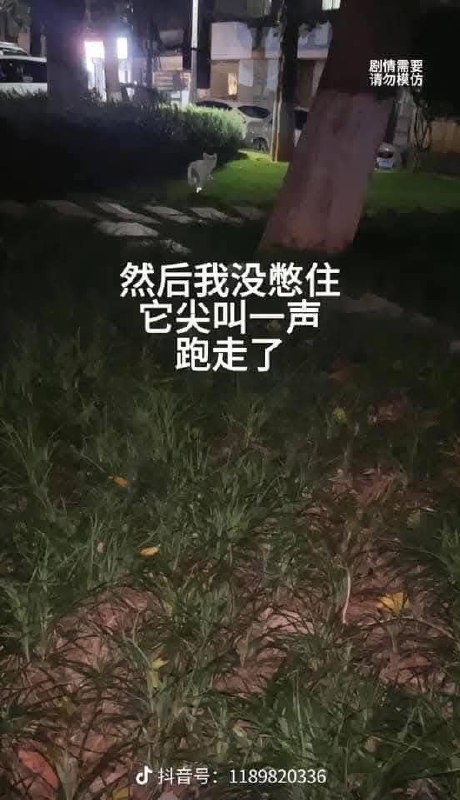 #搞笑 #下集#搞笑 #下集