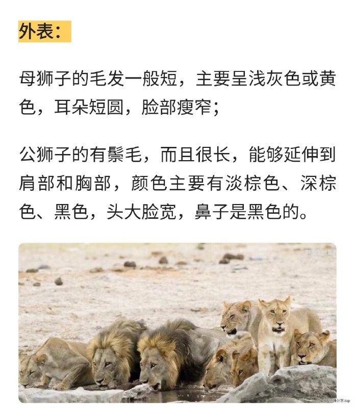 感谢家人们投稿！感谢家人们投稿！