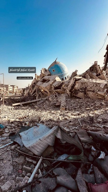 #哈马斯为了7.10.2023 一天屠杀 强奸 绑架 牺牲了整个加沙#哈马斯为了7.10.2023 一天屠杀 强奸 绑架 牺牲了整个加沙