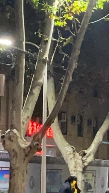 #机车 #骑士 试试就逝世🤣#摩托 #车祸#机车 #骑士 试试就逝世🤣#摩托 #车祸