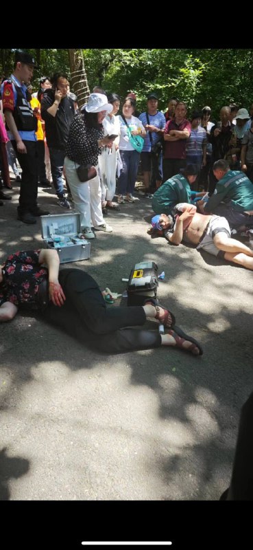 6月10日，网传吉林市北山公园，有四名外国人遭遇袭击被捅