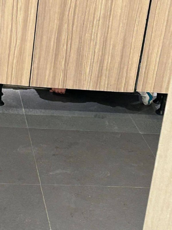 #变态 女厕所 偷窥😤#变态 女厕所 偷窥😤