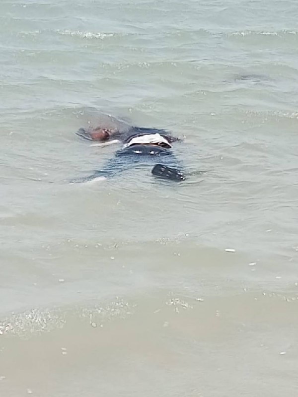 中国走线客惨死异国他乡，希望下辈子能生在有尊严的地方感谢 5566  投稿！中国走线客惨死异国他乡，希望下辈子能生在有尊严的地方感谢 5566  投稿！