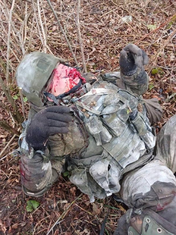 朝鲜营的新鲜肥料