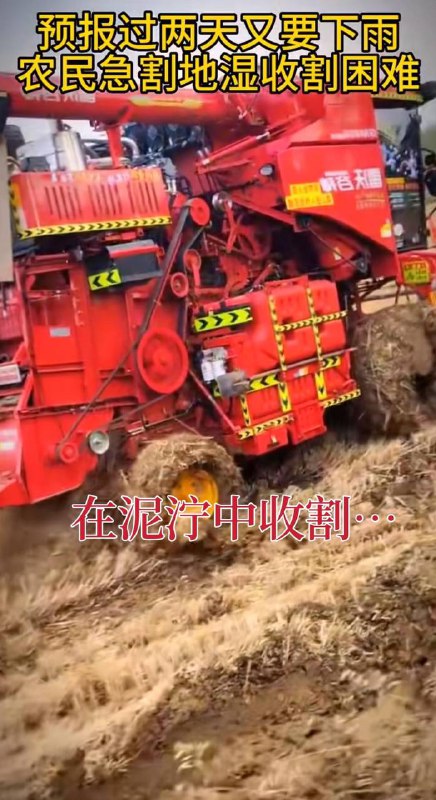 小麦收割机扣押在高速收费站，河南南阳、河南各地高速每天几百台收割机因超宽超高无法下高速，查超宽、超高，查收割机各种作业证