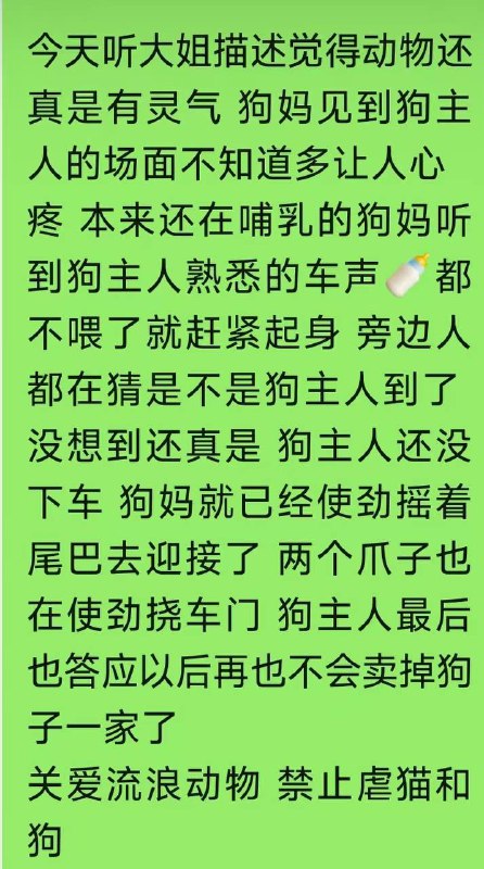 发布者：去接孩子放学的学校门口 有一只腿瘸的母狗孕育着四只狗宝宝 听说是过年买来准备吃的 打的时候自己逃出去了 结果生了四只小狗宝 其中一只体弱的已经去了汪星球了 旁边的学生家长都说早知道就带点饭来了 这么可怜还在哺乳期呢 天又这么冷 有阿姨在打电话问朋友要不要收养小狗 希望狗妈妈能遇到好心人收养吧！在城西小学二部门口 #流浪狗发布者：去接孩子放学的学校门口 有一只腿瘸的母狗孕育着四只狗宝宝 听说是过年买来准备吃的 打的时候自己逃出去了 结果生了四只小狗宝 其中一只体弱的已经去了汪星球了 旁边的学生家长都说早知道就带点饭来了 这么可怜还在哺乳期呢 天又这么冷 有阿姨在打电话问朋友要不要收养小狗 希望狗妈妈能遇到好心人收养吧！在城西小学二部门口 #流浪狗