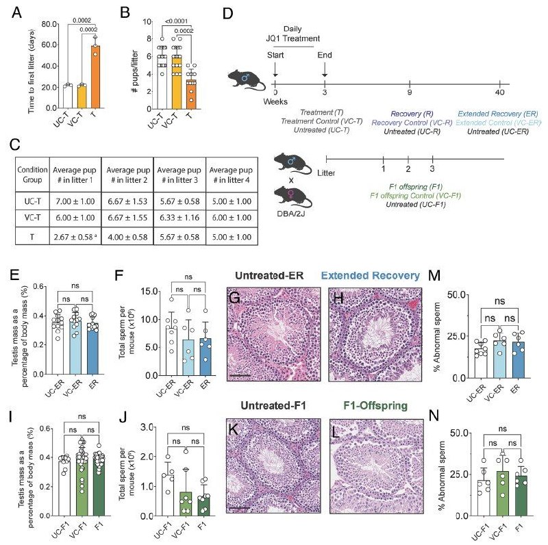 男性「避孕药」取得突破性进展2026年4月7日，美国康奈尔大学研究团队在国际权威学术期刊《美国国家科学院院刊》（PNAS）上发表了一项具有里程碑意义的研究论文