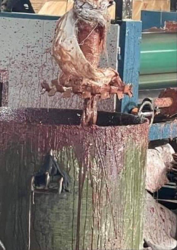 #工厂 #事故 ⛑️ 操作失误 陷入 #绞肉机 🥹 Crazy ！#工厂 #事故 ⛑️ 操作失误 陷入 #绞肉机 🥹 Crazy ！