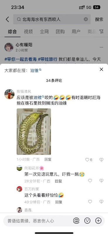 百度热搜榜TOP1广西 #北海 一浴场突发 #不明鱼类伤人事件，官方: 暂停涉水活动鱼？灯泡？百度热搜榜TOP1广西 #北海 一浴场突发 #不明鱼类伤人事件，官方: 暂停涉水活动鱼？灯泡？