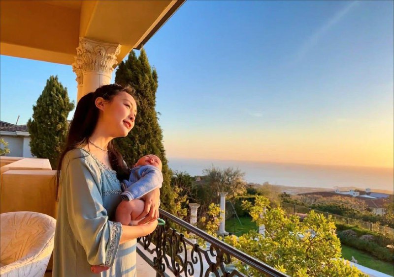 #傅晓田 湾流公务机，私人小型机场，豪宅