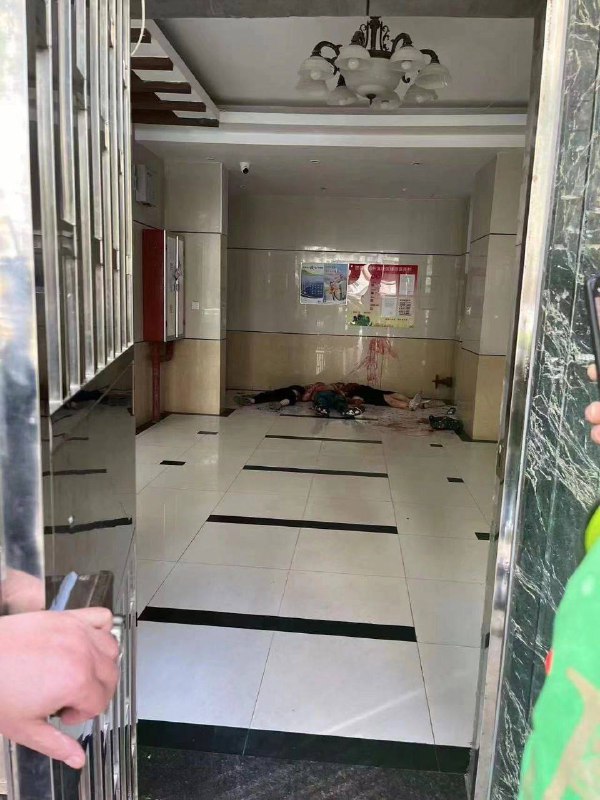 这是什么灭门惨案😱😱 #珠海这是什么灭门惨案😱😱 #珠海