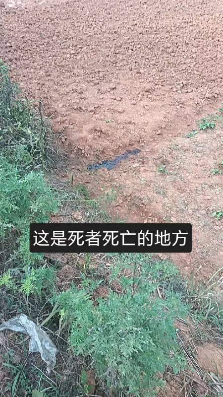 南昌 一 农民工 在 草丛 上厕所 时，遭 #枪击 身亡 还敢 #随地大小便 了吗？感谢 投稿爆料👉中国悲剧档案  投稿！南昌 一 农民工 在 草丛 上厕所 时，遭 #枪击 身亡 还敢 #随地大小便 了吗？感谢 投稿爆料👉中国悲剧档案  投稿！