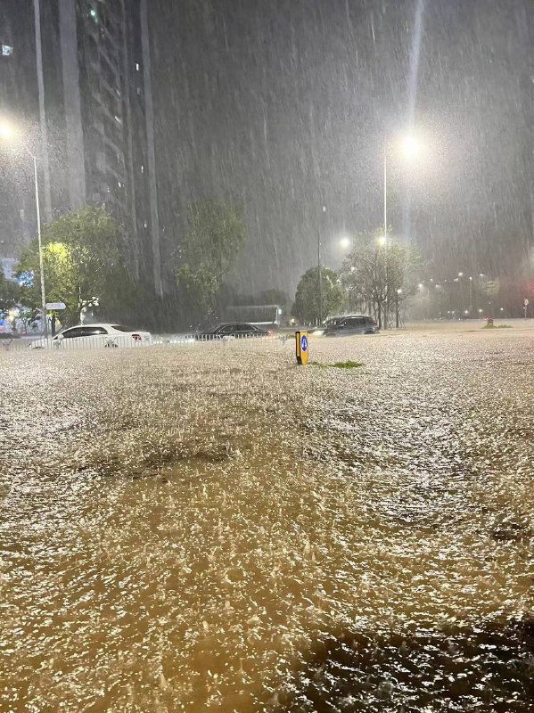 #深圳 龙岗区 #内涝 #暴雨#深圳 龙岗区 #内涝 #暴雨