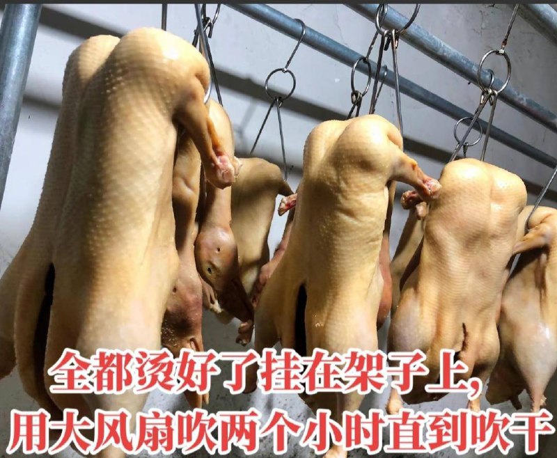 烧鸭 #科技与狠活 色素加25元冰冻白条鸭就是这样制作的by 匿名投稿烧鸭 #科技与狠活 色素加25元冰冻白条鸭就是这样制作的by 匿名投稿