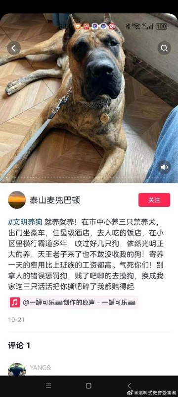 好烦啊 上门 #抓狗 🐶好烦啊 上门 #抓狗 🐶