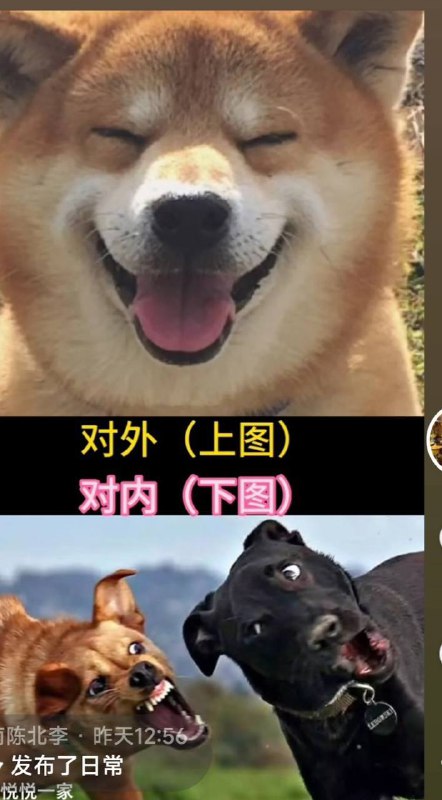 #河南村镇银行 一个女储户在郑州的遭遇   她，一个人，为了存款，更是为了心中对正义的信念，独自在郑州，在非人的折磨下坚持了四天！这张照片手臂上的累累伤痕，恍惚间还以为江姐在渣滓洞遭受毒打