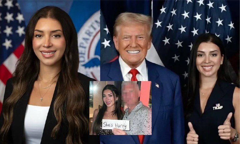 一名特朗普时期的反恐高官，被举报活跃在干爹约会网站上，寻找富有高龄男性，资助其生活，关键举报人还是干爹自己