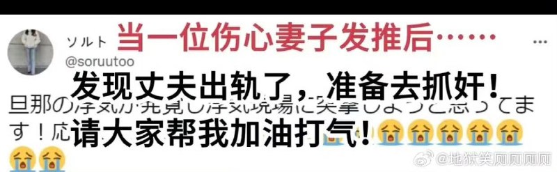 一位日本主妇发推求助，要去抓奸出轨的丈夫，然后大家纷纷主动请缨