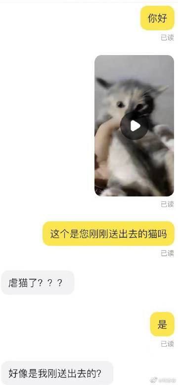 泉州 男子 #虐猫泉州 男子 #虐猫