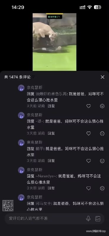 感谢家人们投稿！感谢家人们投稿！
