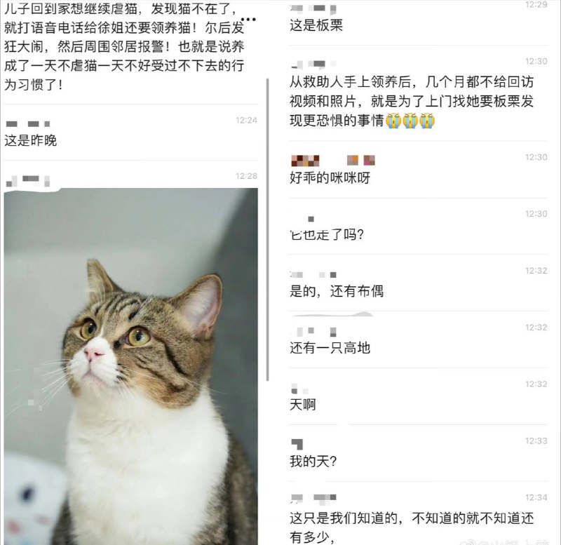 成都17岁 #虐猫 男生by 匿名投稿成都17岁 #虐猫 男生by 匿名投稿