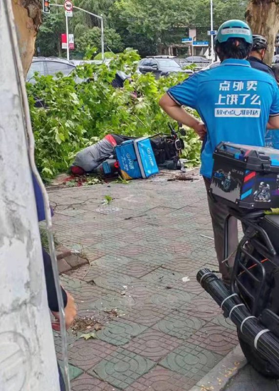 7.27 上海，外卖小哥被大树砸中死亡 #台风by 匿名投稿7.27 上海，外卖小哥被大树砸中死亡 #台风by 匿名投稿
