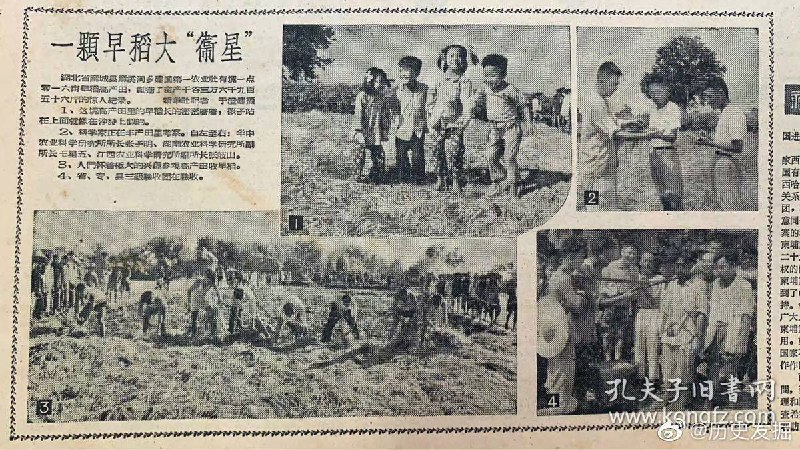 #斯大林的暴政#乌克兰大饥荒#大跃进#大饥荒比起它徒弟简直就是小巫见大巫有这样的师傅就有这样的徒弟