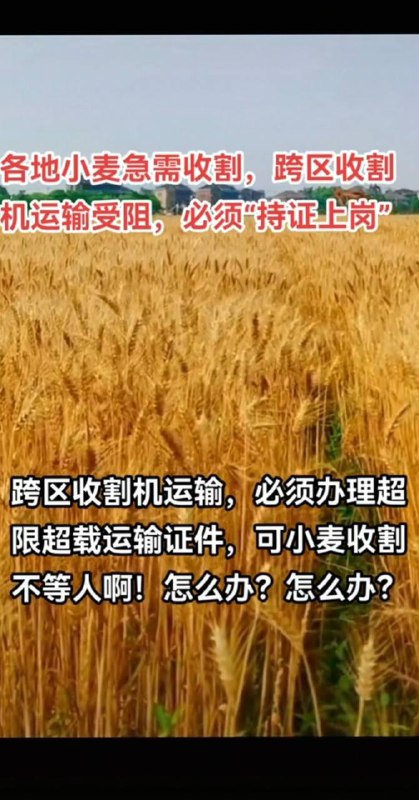 小麦收割机扣押在高速收费站，河南南阳、河南各地高速每天几百台收割机因超宽超高无法下高速，查超宽、超高，查收割机各种作业证