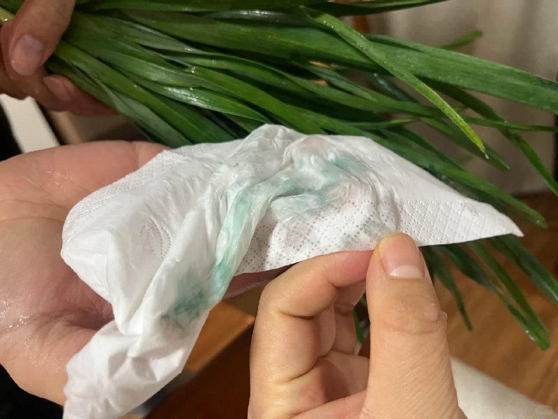 上海菜场买的韭菜，每天花着高价吃着药水，太可怕了#食品安全 #曝光上海菜场买的韭菜，每天花着高价吃着药水，太可怕了#食品安全 #曝光