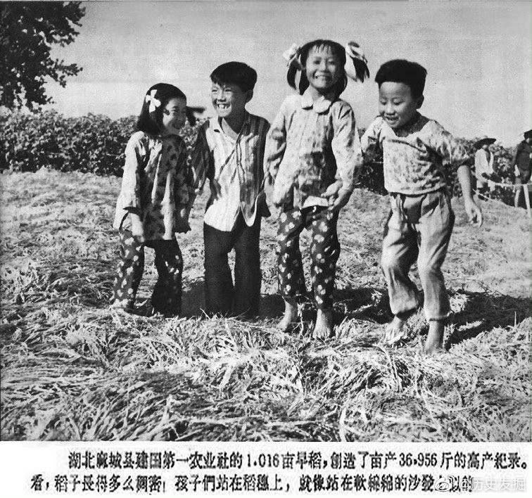 #斯大林的暴政#乌克兰大饥荒#大跃进#大饥荒比起它徒弟简直就是小巫见大巫有这样的师傅就有这样的徒弟