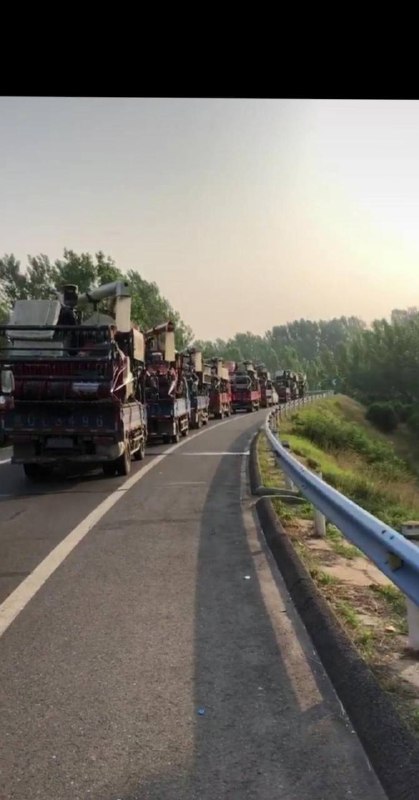 小麦收割机扣押在高速收费站，河南南阳、河南各地高速每天几百台收割机因超宽超高无法下高速，查超宽、超高，查收割机各种作业证