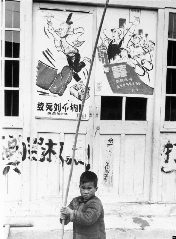手持《毛泽东语录》的红卫兵对国家主席 #刘少奇 进行批斗