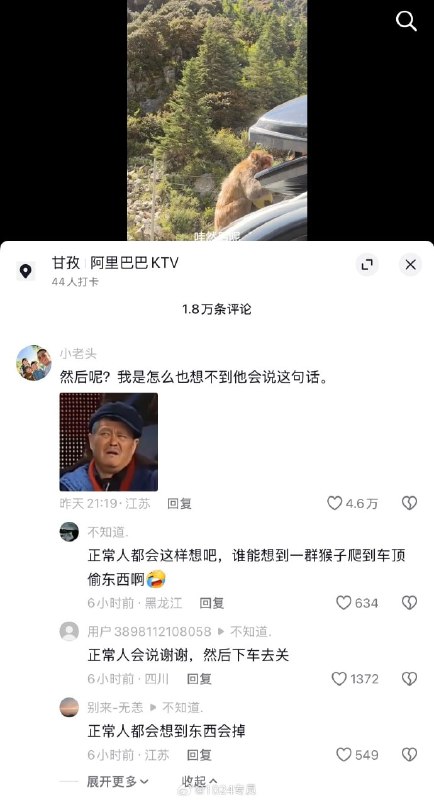 前面一辆自驾游的车顶上行李顶没关闭，被猴子掏了，网友好心提醒，触发了车里女孩的反驳型人格