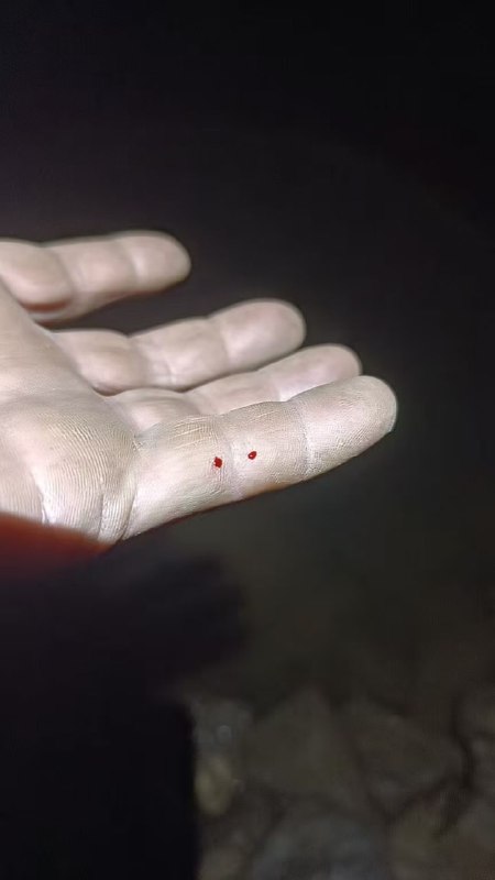 银环蛇，没救了感谢家人们投稿！银环蛇，没救了感谢家人们投稿！