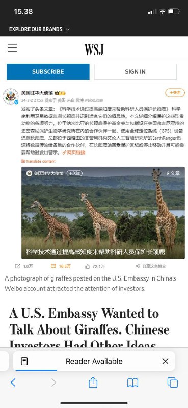 #长颈鹿🦒似乎正在加入北京互联网观察名单上的小熊维尼和小猪佩奇美国大使馆想谈谈长颈鹿