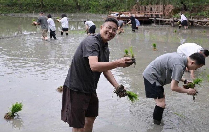 马云带队阿里高管集体下田插秧22 日，一张照片在阿里内网刷屏了，马云、吴泳铭、蒋凡、周靖人等阿里和蚂蚁的十几位核心管理层，挽起裤腿、光着脚丫，在杭州郊外的一片水田里插秧