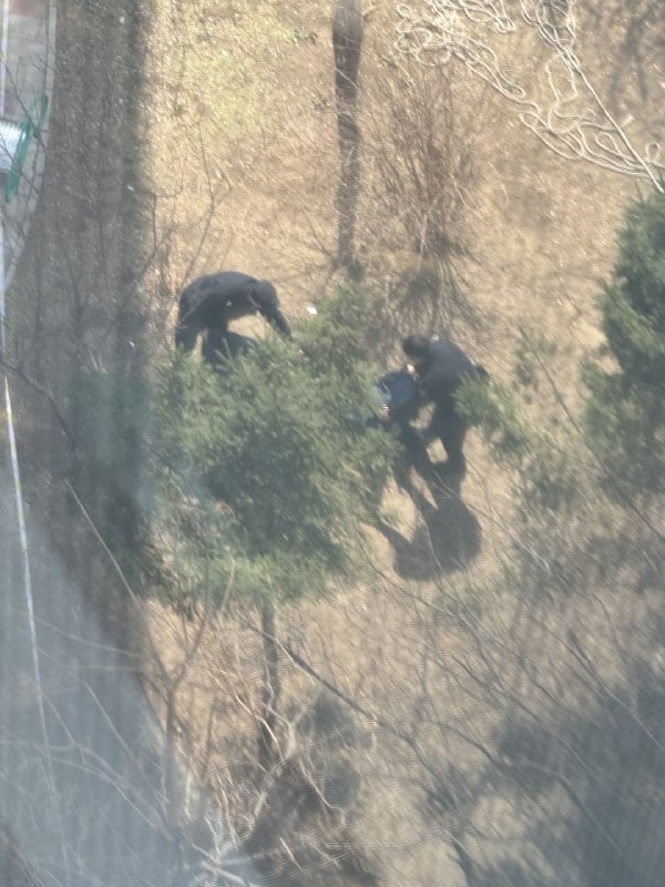 今天上午12点多辽宁省沈阳市大东区明城嘉苑小区，有一名安装窗户的工人从28楼连同绳子还有框架一同坠落身亡，有大量警察在现场，周围拉起警戒线，坠亡工人尸体盖上了黑布感谢家人们投稿！今天上午12点多辽宁省沈阳市大东区明城嘉苑小区，有一名安装窗户的工人从28楼连同绳子还有框架一同坠落身亡，有大量警察在现场，周围拉起警戒线，坠亡工人尸体盖上了黑布感谢家人们投稿！